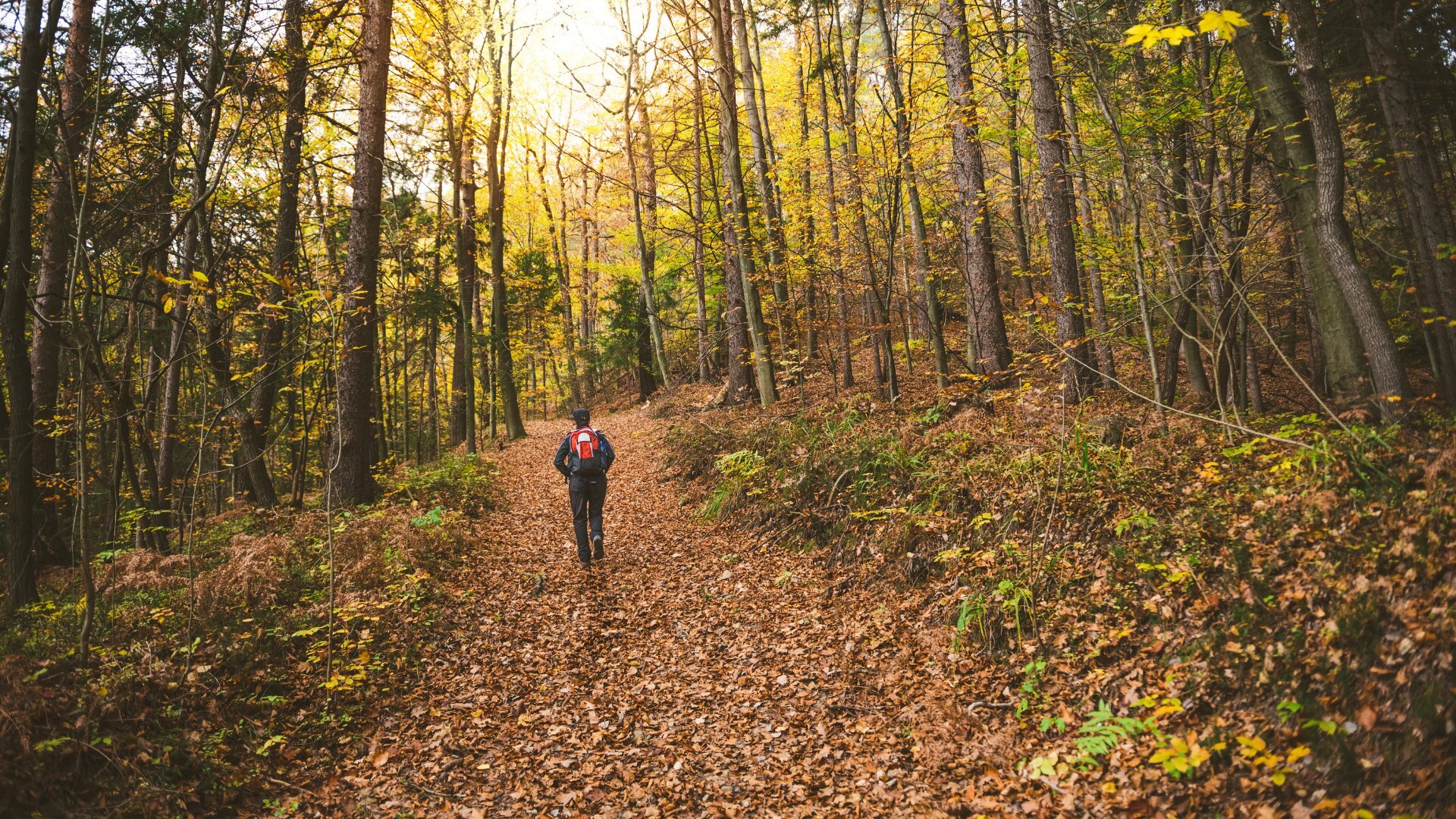 Adventure Breaks & Festivals This Autumn