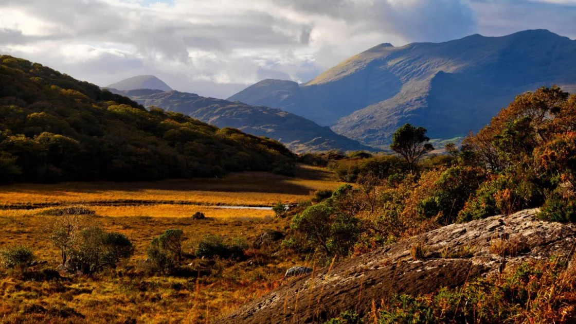 Make a Break For Tralee - Explore