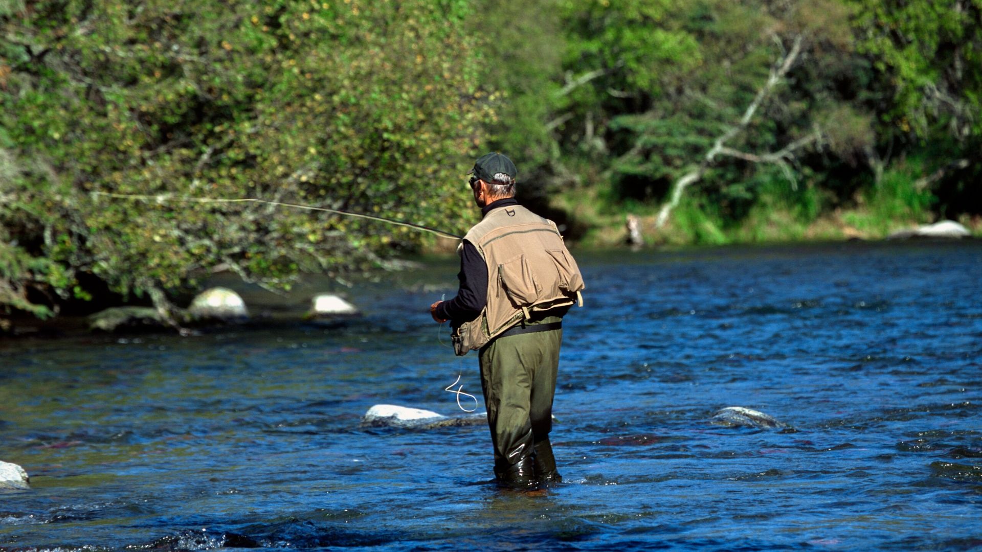 ballyroe heights hotel fishing