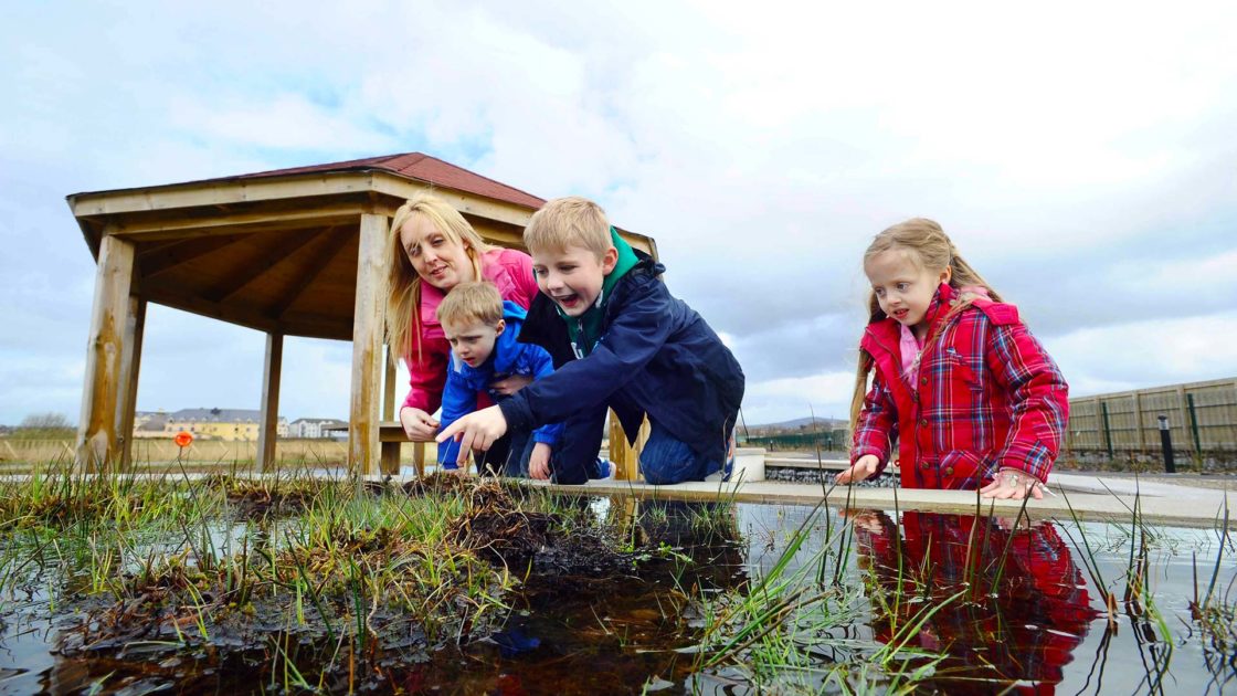 ballyroe heights attractions family